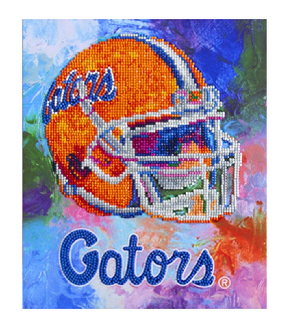 10″ x 12.5″ Collegiate Florida Gators Diamond Painting Kit  |  Hobbies Crafts & Hobbies Hobbies