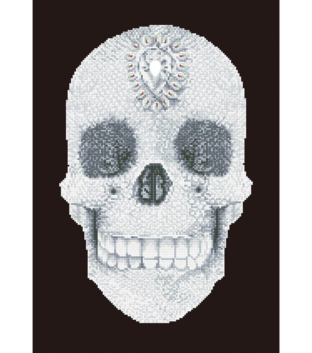 Diamond Dotz Diamond Facet Art Kit Crystal Skull  |  Hobbies Crafts & Hobbies Hobbies